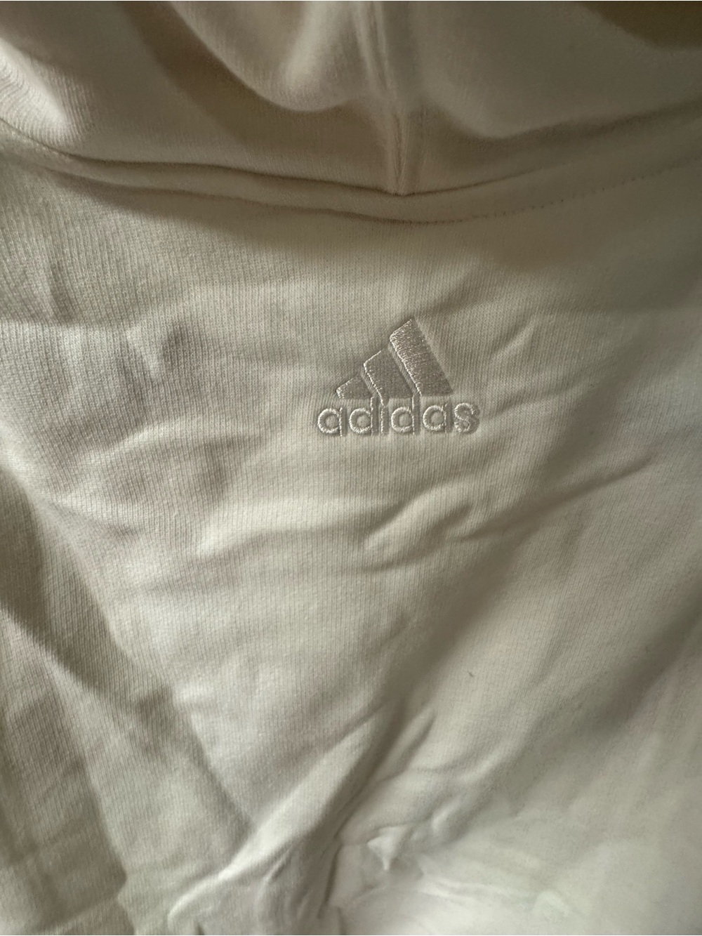 Shirt Subcategory Classification - Picture 7 of 7